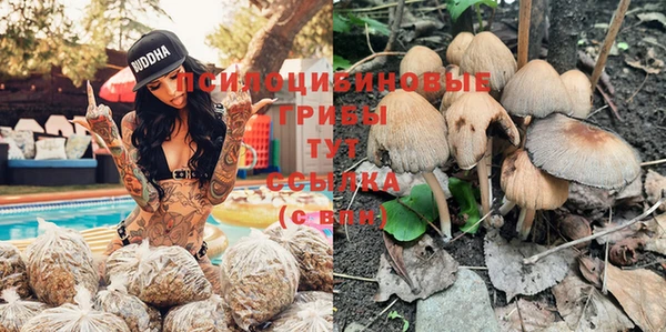 тгк Алексин