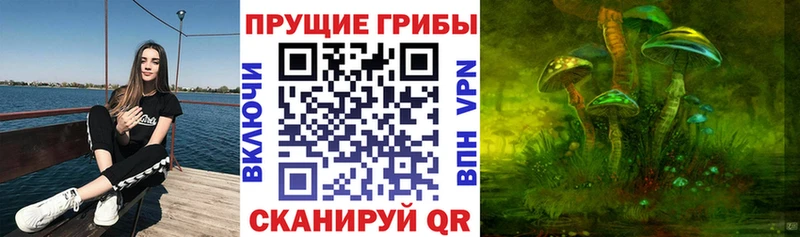 Галлюциногенные грибы Psilocybe  KRAKEN как войти  Спасск-Рязанский 